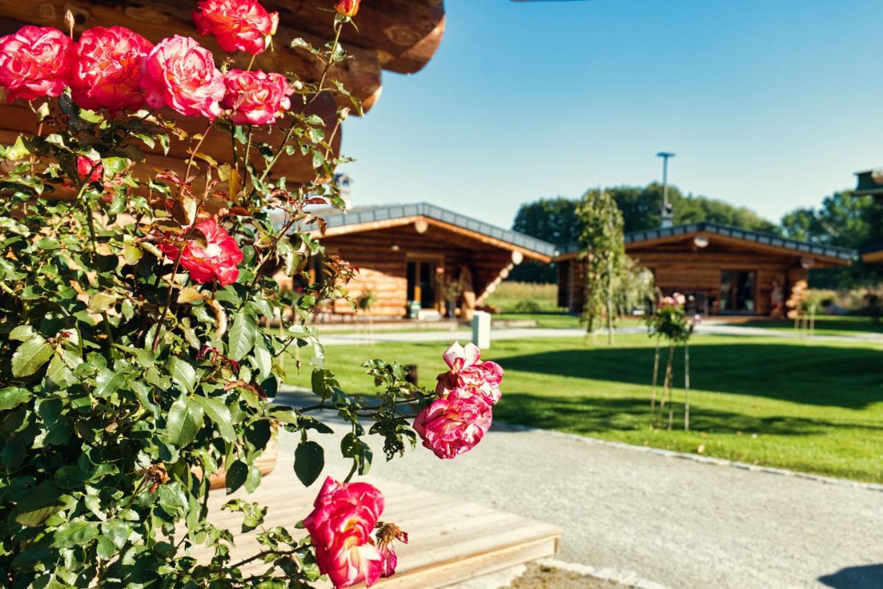 Vila Ferienidyll Zur Spreeaue Briesen  Exteriér fotografie